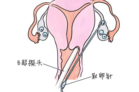 http://kunming.huochezhan.net/post/205.html|昆明供卵助孕