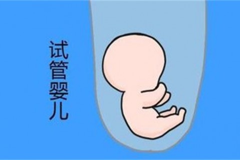 培养昆明捐卵宝宝艺术细胞的小技巧