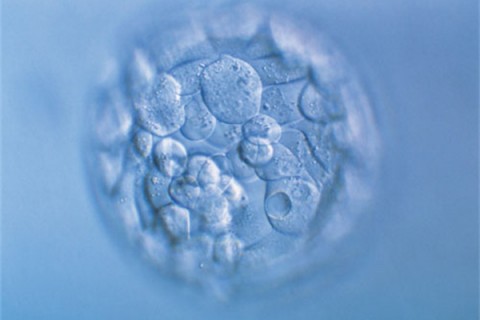 http://kunming.huochezhan.net/post/200.html|昆明新闻中心