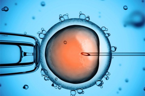 http://kunming.huochezhan.net/post/199.html|昆明供卵助孕